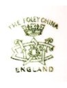 Wileman & Co - “Foley China”